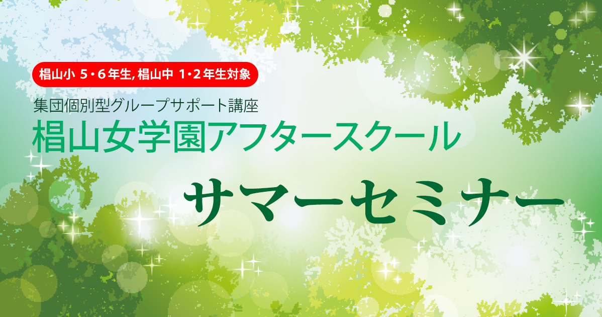 集団個別型グループサポート講座椙山女学園アフタースクール『サマーセミナー』