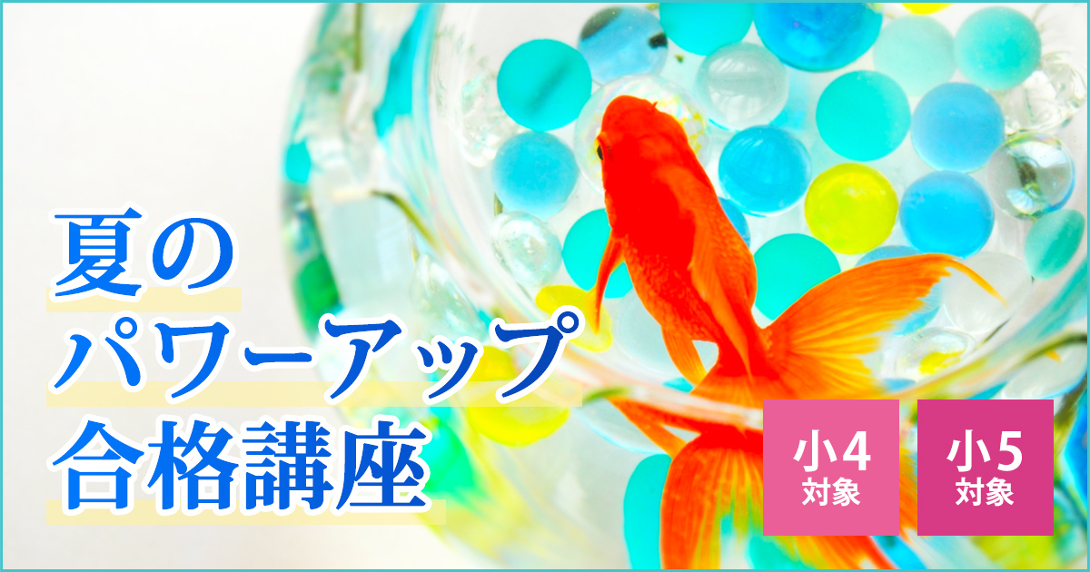 〈小4・小5対象〉夏のパワーアップ合格講座 〜明和中学受検に必要なことは、すべてオンリー・ワン・スクールのアンファンで〜