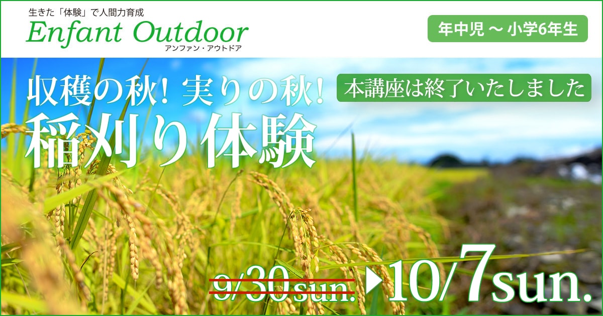 〈年中児・年長児・小学生〉収穫の秋！実りの秋！「稲刈り体験」〜荒天が予想されるため 日程順延しました〜