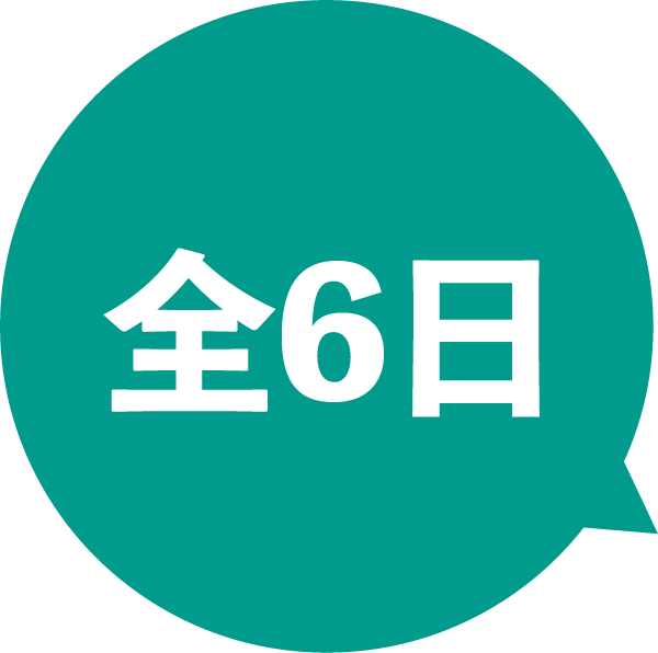日数