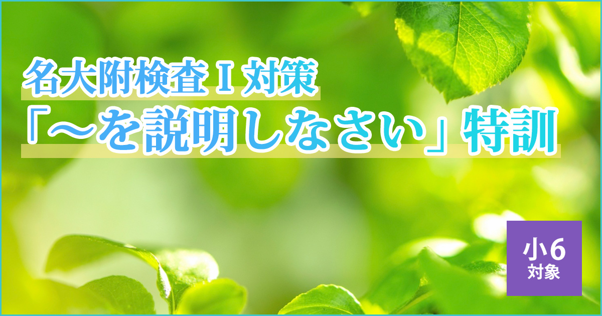 〈小6対象〉名大附検査Ⅰ対策「〜を説明しなさい」特訓 〜名大附中学受検に必要なことは、すべてオンリー・ワン・スクールのアンファンで〜