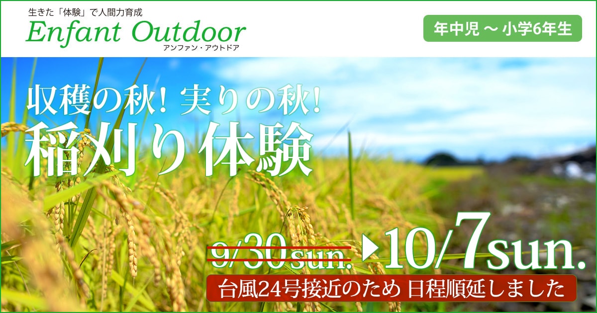 〈年中児・年長児・小学生〉収穫の秋！実りの秋！「稲刈り体験」〜荒天が予想されるため 日程順延しました〜