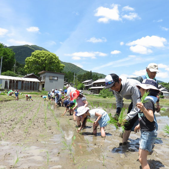 写真「田植え中の様子」