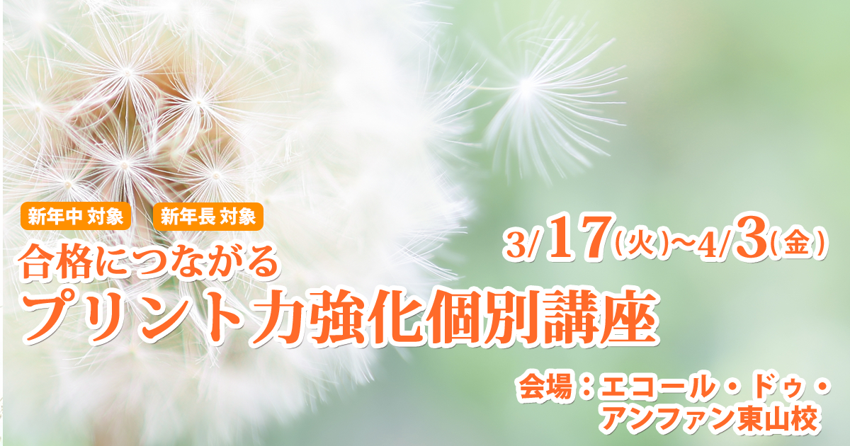 プリント力強化個別講座