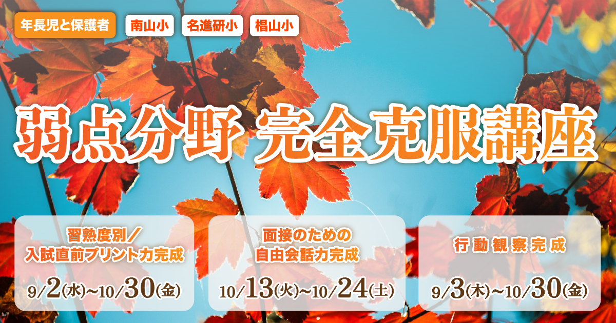 〈南山小・名進研小・椙山小〉反復学習による完全徹底指導「弱点強化講座」 〜完全合格宣言 小学校受験への王道アンファンだけで合格できる〜
