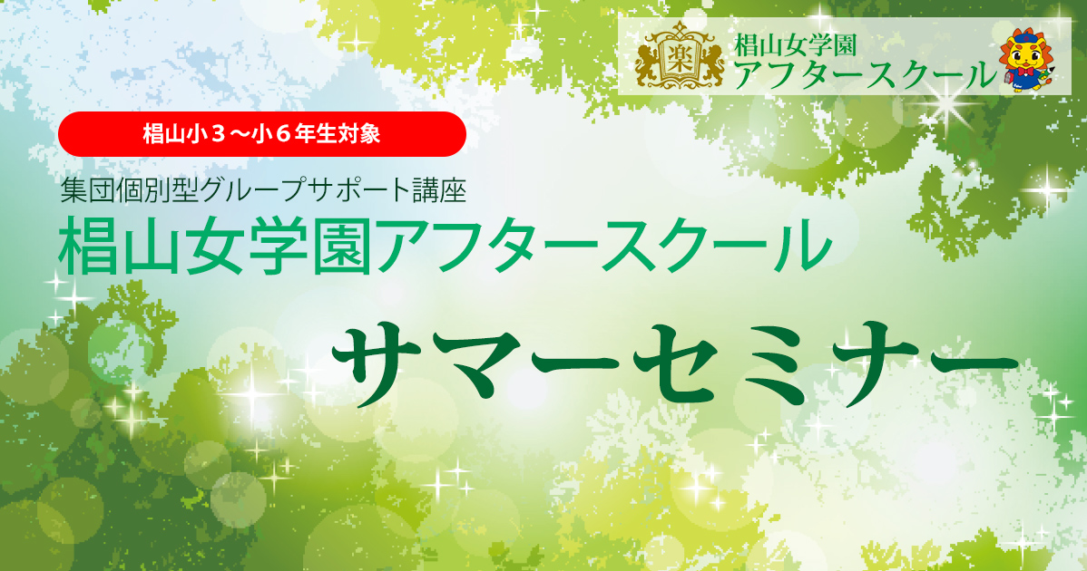 サマーセミナー